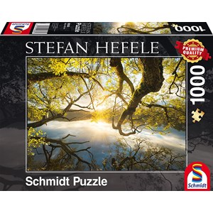 Schmidt Spiele (59383) - Stefan Hefele: "Embrace of Gold" - 1000 pezzi
