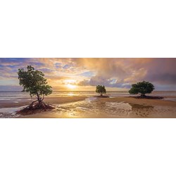 Schmidt Spiele (59394) - Mark Gray: "Cape Tribulation, Daintree national Park, Queensland, Australia" - 1000 pezzi