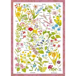 Schmidt Spiele (59566) - "Wild Flowers" - 1000 pezzi