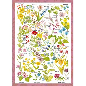 Schmidt Spiele (59566) - "Wild Flowers" - 1000 pezzi