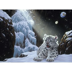 Grafika (02422) - Schim Schimmel, William Schimmel: "Ice House" - 2000 pezzi