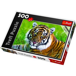 Trefl (371925) - "Tiger" - 500 pezzi