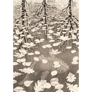 PuzzelMan (861) - M. C. Escher: "Three Worlds" - 1000 pezzi