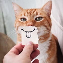 Ravensburger (08028) - "Funny Animal Portraits" - 49 pezzi