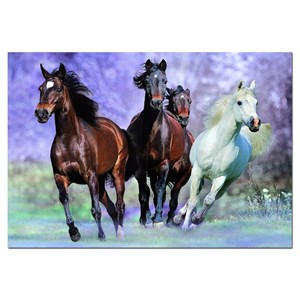 Educa (14809) - "Galloping" - 1000 pezzi