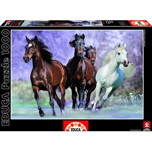Educa (14809) - "Galloping" - 1000 pezzi