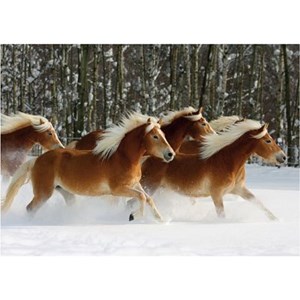 D-Toys (65933-HH04) - "Horses Magic, Haflinger IV" - 239 pezzi