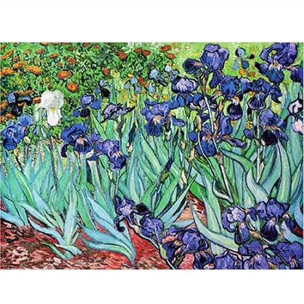 D-Toys (66916-VG03) - Vincent van Gogh: "Iris" - 1000 pezzi