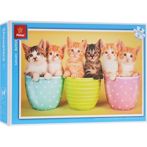 Pintoo (H1478) - "Cup cats" - 1000 pezzi