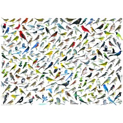 Eurographics (6000-0821) - "The World of Birds" - 1000 pezzi