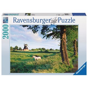 Ravensburger (16635) - "Horse From Wind Mill" - 2000 pezzi