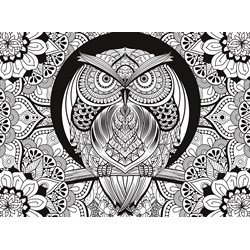 Clementoni (35050) - "Owl" - 500 pezzi