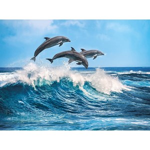 Clementoni (35055) - "Dolphins" - 500 pezzi