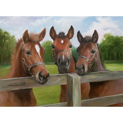 Ravensburger (14566) - "Ponies" - 500 pezzi
