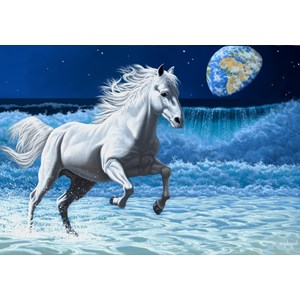 Grafika (02582) - Schim Schimmel: "Wave Runner" - 1000 pezzi