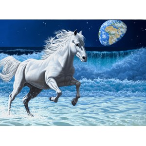 Grafika (02583) - Schim Schimmel: "Wave Runner" - 300 pezzi