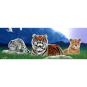 Grafika (02602) - Schim Schimmel, William Schimmel: "Shared World" - 2000 pezzi