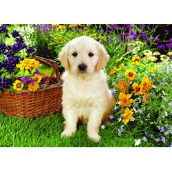 Trefl (371604) - Greg Cuddiford: "Labrador Puppy in the Garden" - 500 pezzi