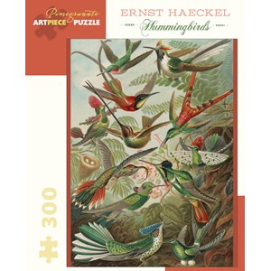 Pomegranate (JK053) - Ernst Haeckel: "Hummingbirds" - 300 pezzi