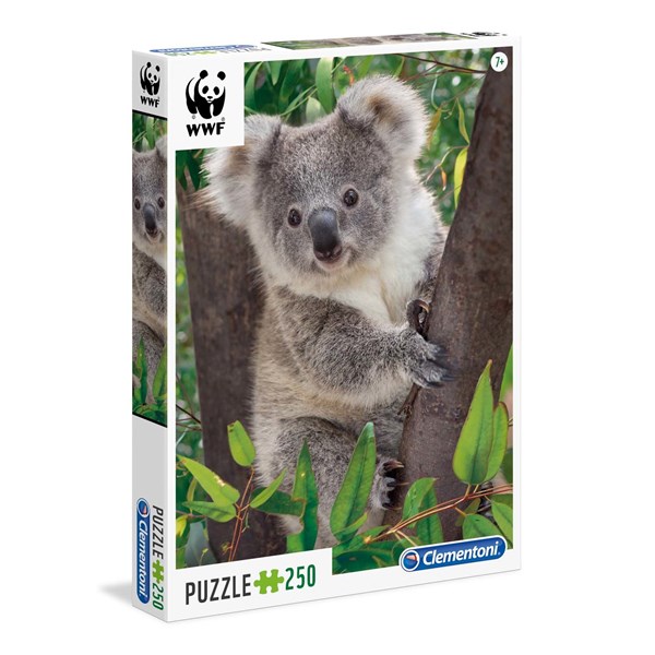 Clementoni (29054) - "Baby Koala" - 250 pezzi