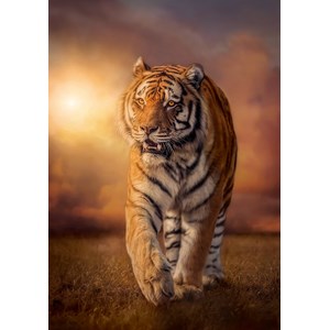 Clementoni (31806) - "Tiger" - 1500 pezzi