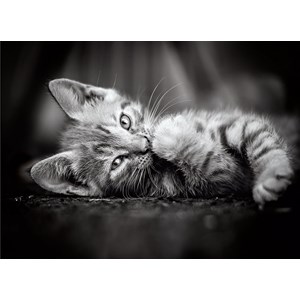 Clementoni (39422) - "Kitten" - 1000 pezzi