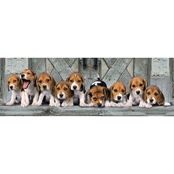 Clementoni (39435) - "Beagles" - 1000 pezzi