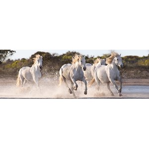 Clementoni (39441) - "Horses" - 1000 pezzi