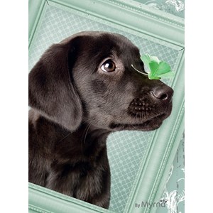 Ravensburger (14194) - "Lucky Puppy" - 500 pezzi