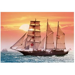 Castorland (C-100392) - "Sailing ship in the sunset" - 1000 pezzi