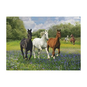 Clementoni (39255) - "Horses" - 1000 pezzi