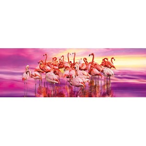 Clementoni (39427) - "Flamingo Dance" - 1000 pezzi