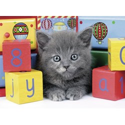 Ravensburger (13908) - "Grey Kitten" - 200 pezzi