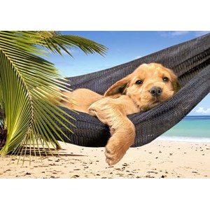 Castorland (B-51144) - "Leisure Time" - 500 pezzi