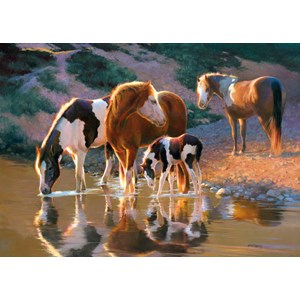 Castorland (B-52097) - "Night Cap" - 500 pezzi