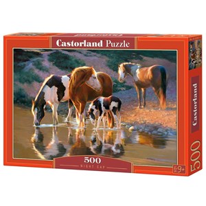 Castorland (B-52097) - "Night Cap" - 500 pezzi