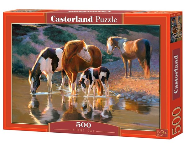 Castorland (B-52097) - "Night Cap" - 500 pezzi