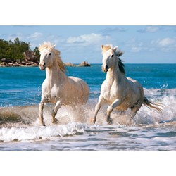 Castorland (C-102433) - "White Camargue Horses" - 1000 pezzi