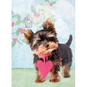 Ravensburger (14335) - "What a cutie!" - 500 pezzi