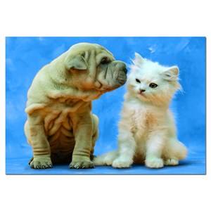 Educa (14806) - "Secrets" - 500 pezzi