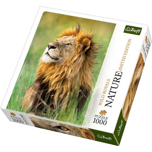 Trefl (10517) - "Lion" - 1000 pezzi