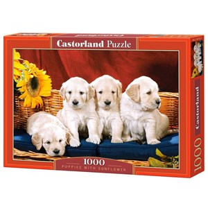 Castorland (C-101771) - "Puppies with Sunflower" - 1000 pezzi