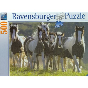 Ravensburger (14181) - "Group of Wild Horses" - 500 pezzi