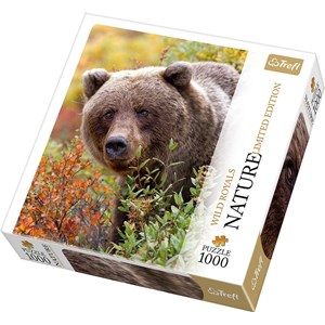 Trefl (10518) - "Grizzly, Alaska, USA" - 1000 pezzi