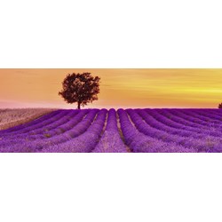 Ravensburger (15068) - "Lavender Fields" - 1000 pezzi