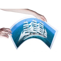 Step Puzzle (98014) - "Sailing Ship" - 1000 pezzi