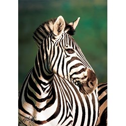 Trefl (10504) - "Zebra" - 1000 pezzi