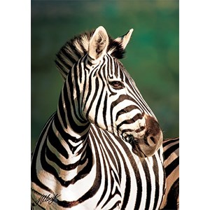 Trefl (10504) - "Zebra" - 1000 pezzi