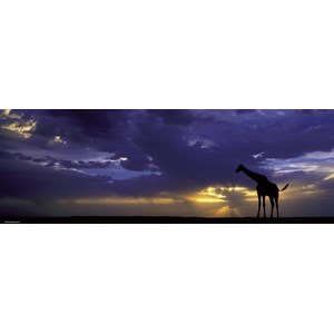 Heye (29471) - Alexander von Humboldt: "Sunset" - 1000 pezzi