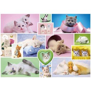 Schmidt Spiele (58230) - "Cuddly Cats" - 1000 pezzi